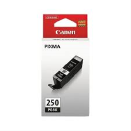 Réservoir d'encre noire PGBK PGI-250 SKU 6497B001