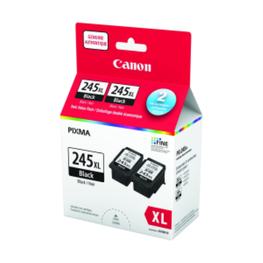Pack économique double d'encre PG-245XL